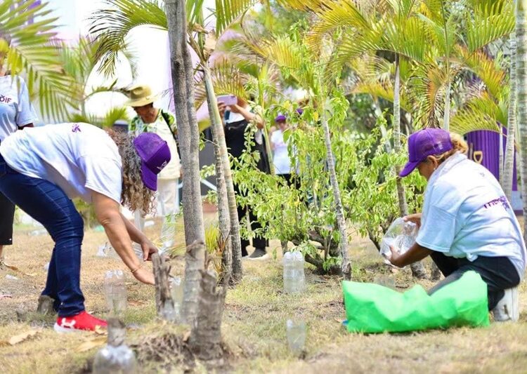 Respalda el DIF las actividades de promoción de la ecología en Altamira