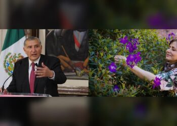 Falleció Rosalinda López Hernández, hermana de Adán Augusto