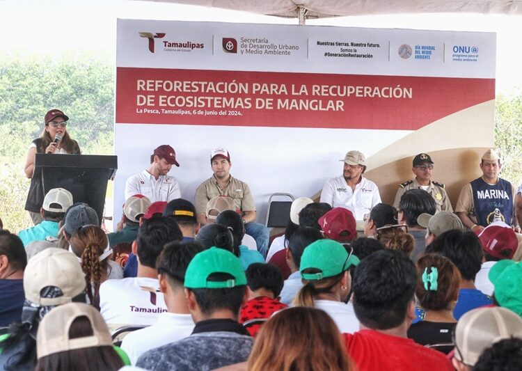 Refuerza SEDUMA reforestación de mangle en costas tamaulipecas