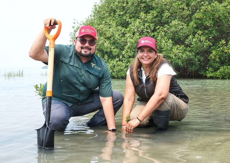 Refuerza SEDUMA reforestación de mangle en costas tamaulipecas