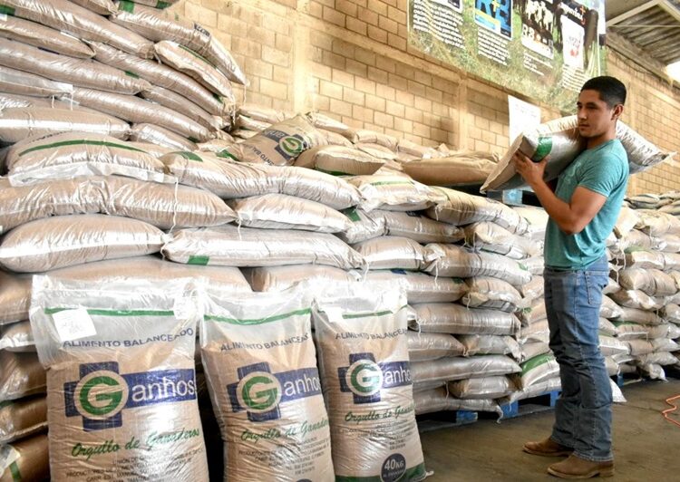 Autoriza Gobierno de Tamaulipas programa emergente para ganaderos afectados por la sequía