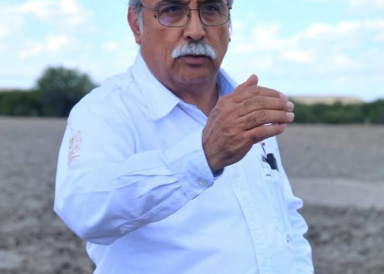 Ponen a disposición de los productores de maíz el Programa de Precios de Garantía