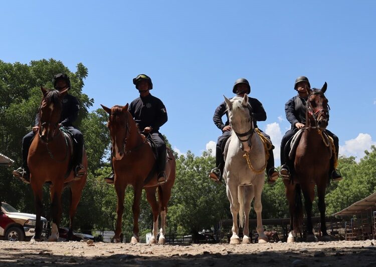 Agrupamiento montado de la Guardia Estatal mantiene proximidad permanente