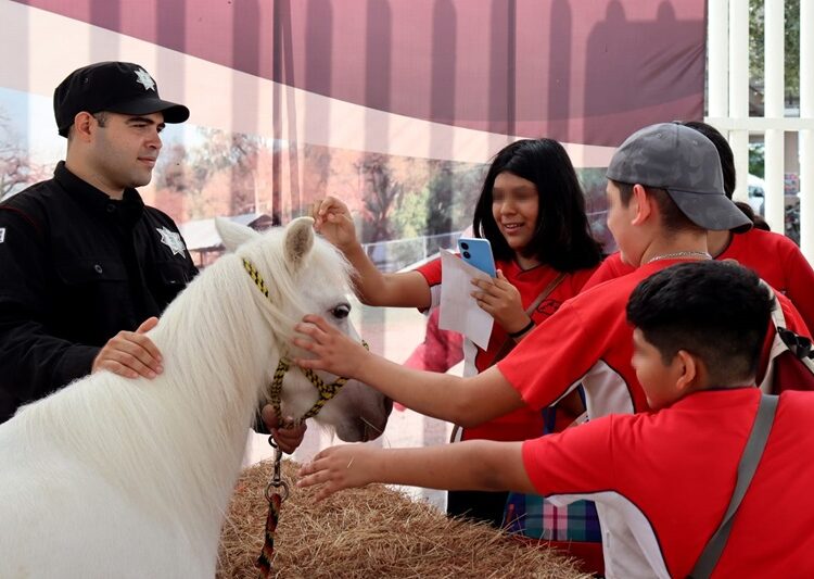 Agrupamiento montado de la Guardia Estatal mantiene proximidad permanente