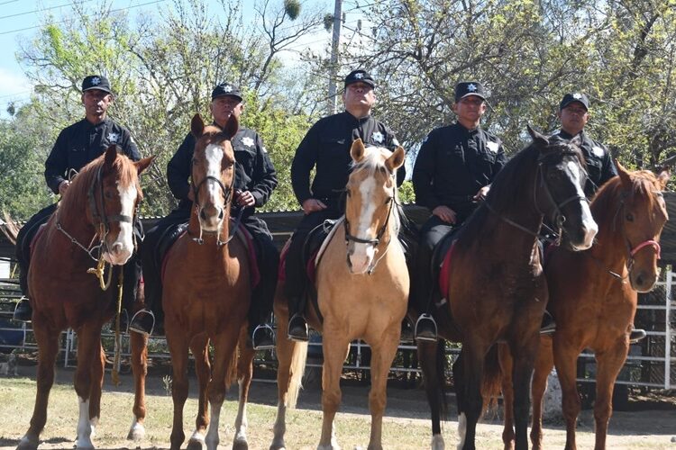 Agrupamiento montado de la Guardia Estatal mantiene proximidad permanente