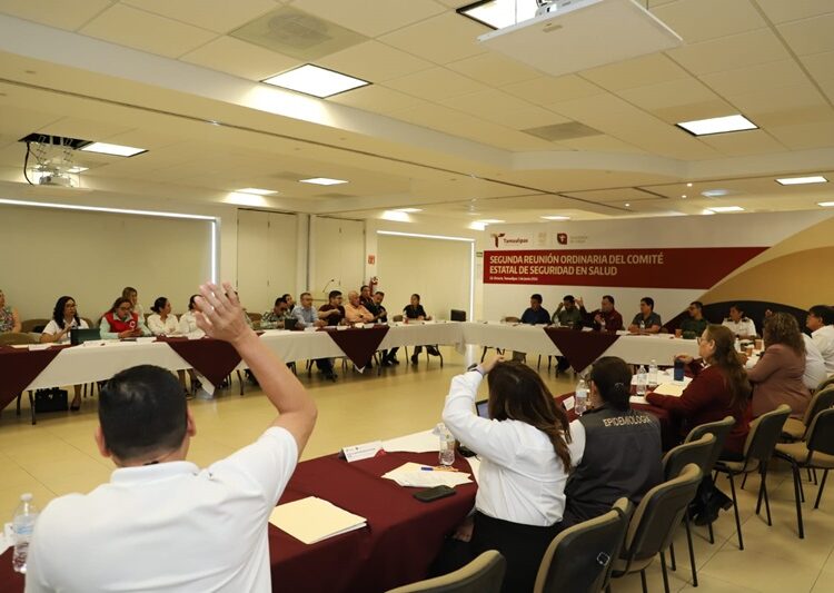 Define Comité Estatal de Seguridad en Salud estrategias para prevenir enfermedades