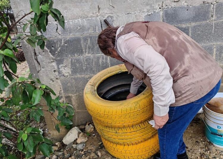 Refuerza SST vigilancia sanitaria para prevenir enfermedades por vector