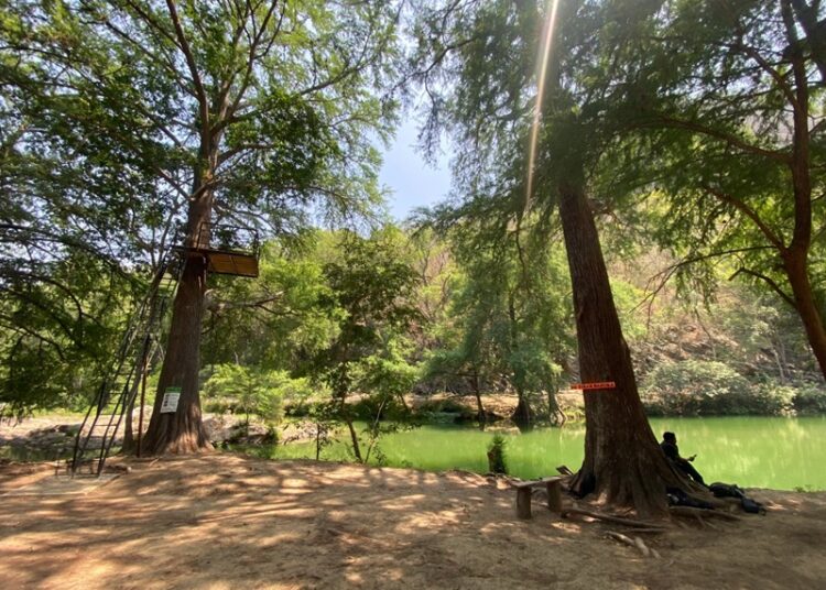 Estima Tamaulipas derrama económica superior a los 3 mil 500 mdp en vacaciones de verano