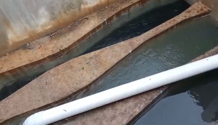 Saldo blanco en infraestructura de COMAPA Victoria por tormenta tropical Alberto