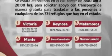 Disponibles unidades gratuitas para trasladar a ciudadanos a los refugios