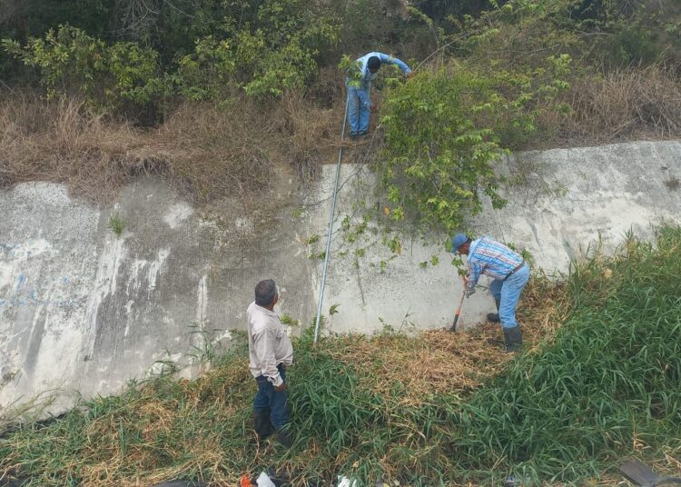Intensifica Altamira acciones preventivas por llegada de “Alberto”