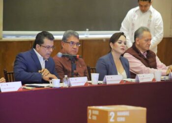 Bienestar y prosperidad, prioridad de Gobierno de Victoria: Gattás