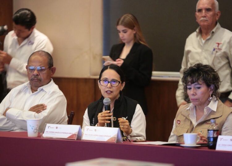 «Prioridad a objetivos de la Agenda 2030»: AVA