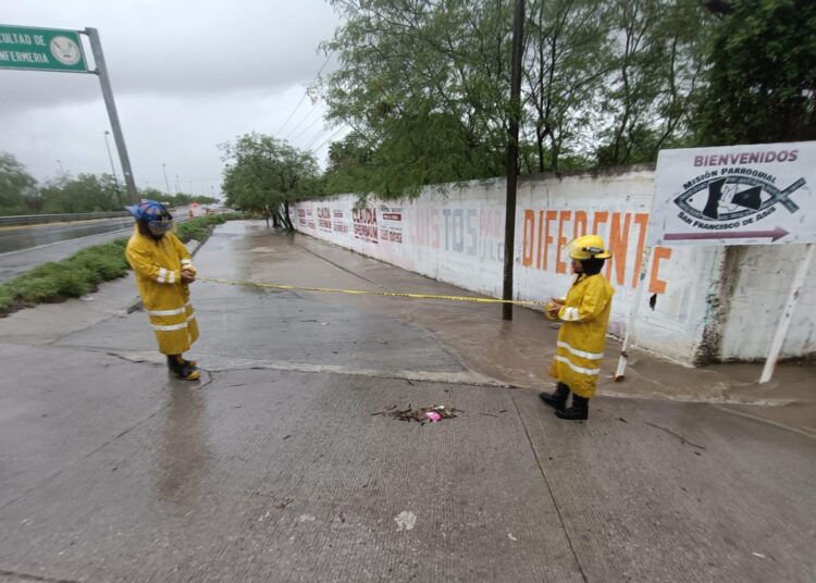 Activa Lalo Gattás Consejo de Protección Civil