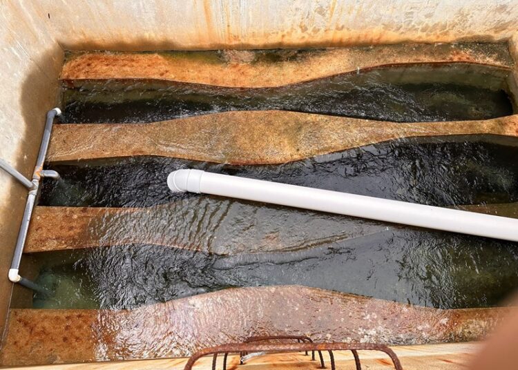 Busca COMAPA Victoria estrategias para brindar el servicio a sector Tamatán y Echeverría