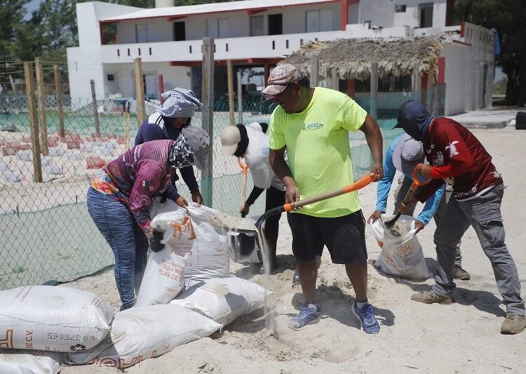 Refuerza Comisión de Parques protección en campos tortugueros de Tamaulipas