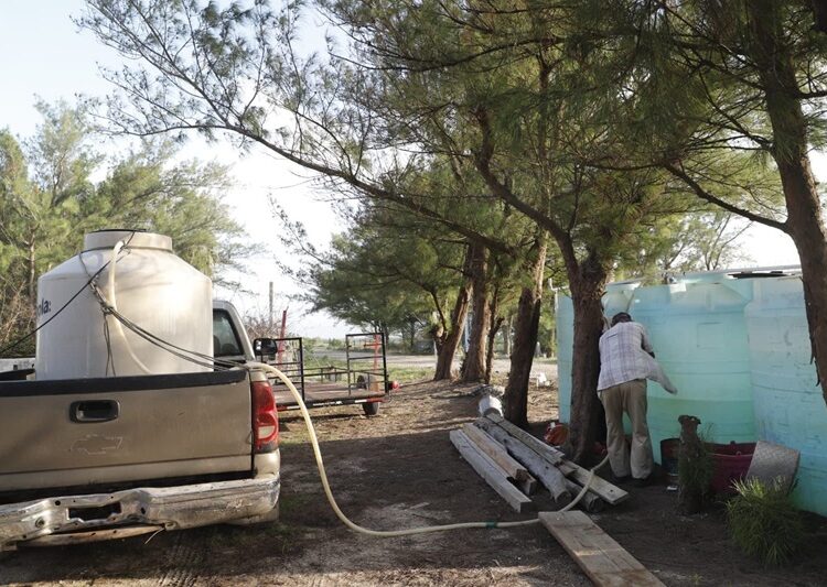 Refuerza Comisión de Parques protección en campos tortugueros de Tamaulipas