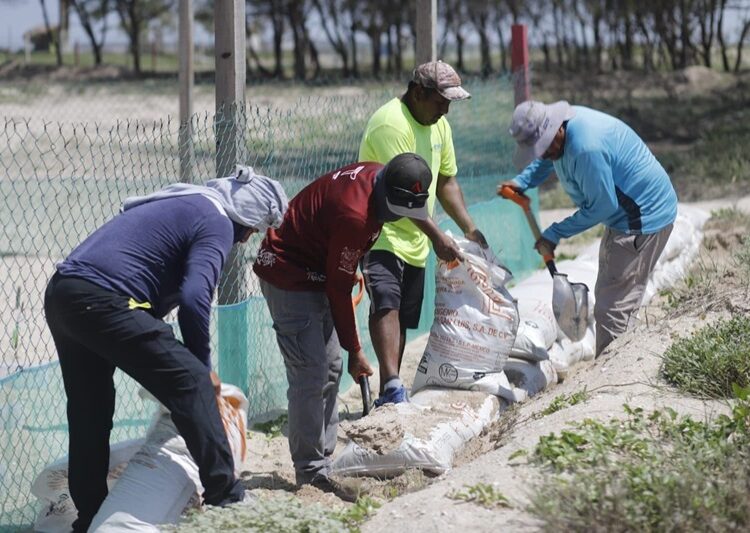 Refuerza Comisión de Parques protección en campos tortugueros de Tamaulipas