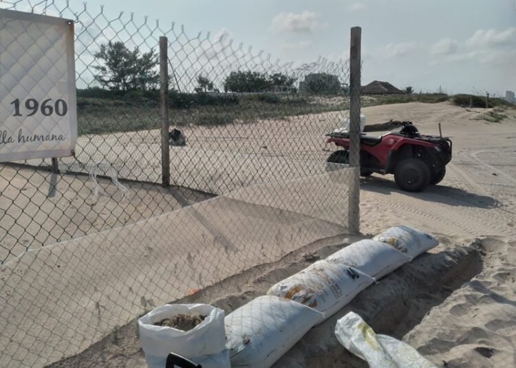 Refuerza Comisión de Parques protección en campos tortugueros de Tamaulipas