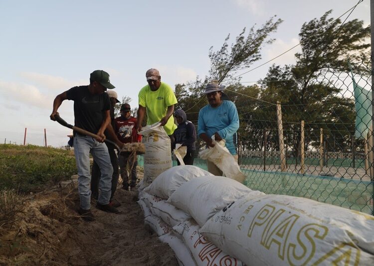 Refuerza Comisión de Parques protección en campos tortugueros de Tamaulipas