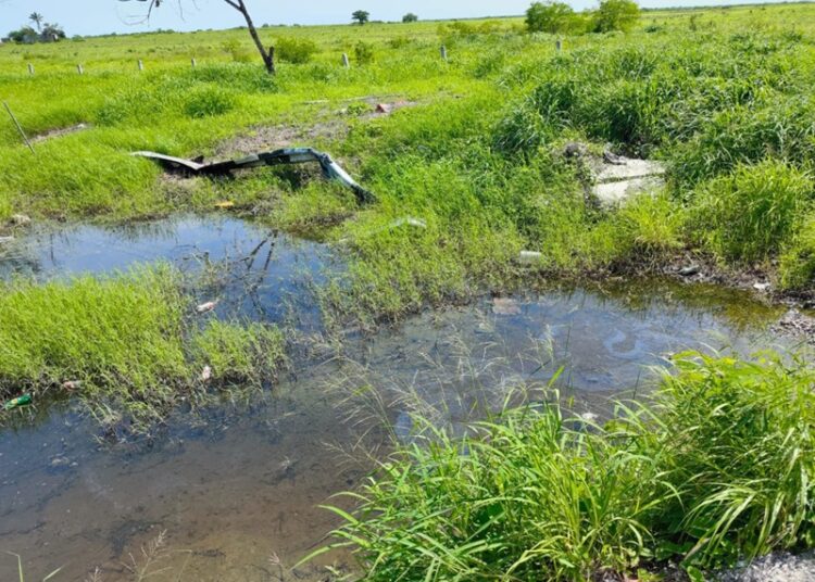 Coordinan acciones ante derrame de hidrocarburo en Altamira