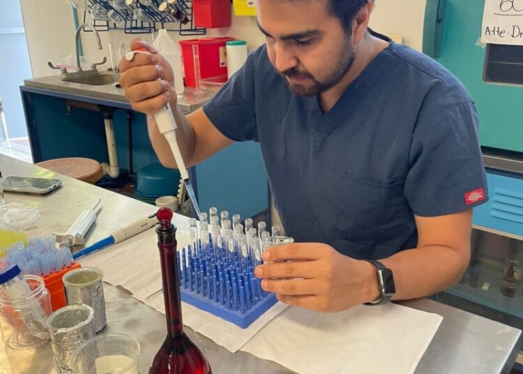 Desarrolla UAT bioinsecticida para combatir plagas que afectan la apicultura