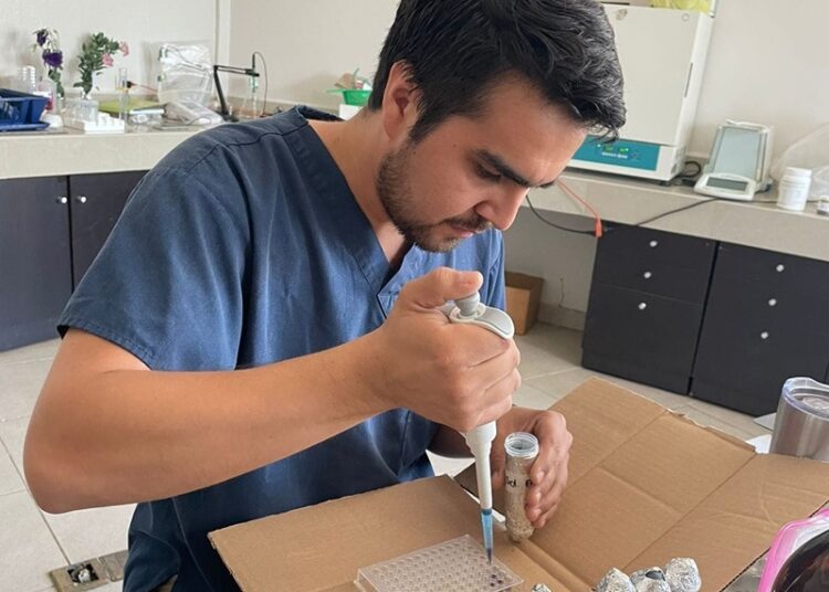 Desarrolla UAT bioinsecticida para combatir plagas que afectan la apicultura