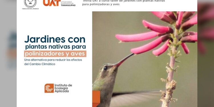 Enseñará la UAT a crear espacios ecológicos para especies polinizadoras