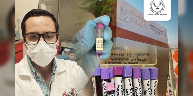 Estudia la UAT al parásito que causa babesiosis en perros y su posible contagio a humanos