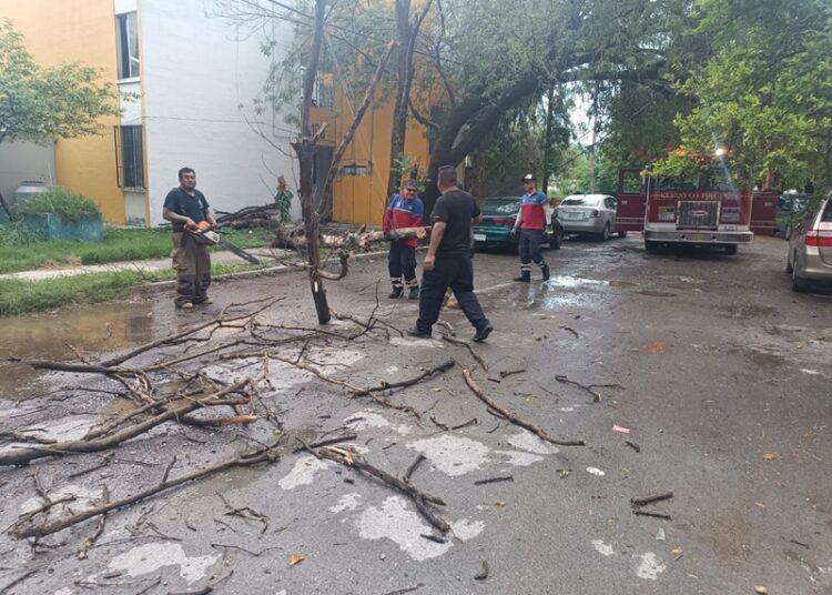 Gobierno de Victoria libera vialidades y mitiga riesgos a la población