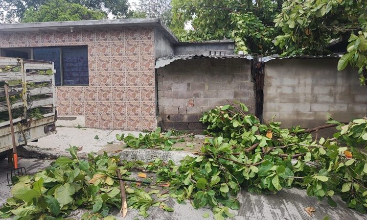 Gobierno de Victoria libera vialidades y mitiga riesgos a la población