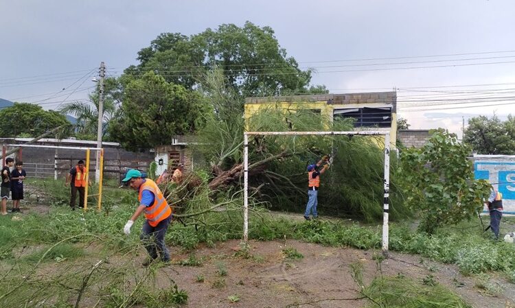 Gobierno de Victoria libera vialidades y mitiga riesgos a la población
