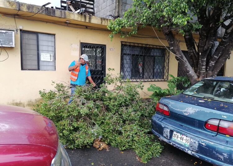 Gobierno de Victoria libera vialidades y mitiga riesgos a la población