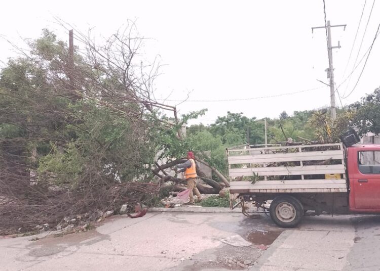 Gobierno de Victoria libera vialidades y mitiga riesgos a la población
