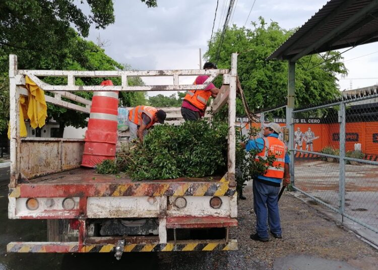 Gobierno de Victoria libera vialidades y mitiga riesgos a la población