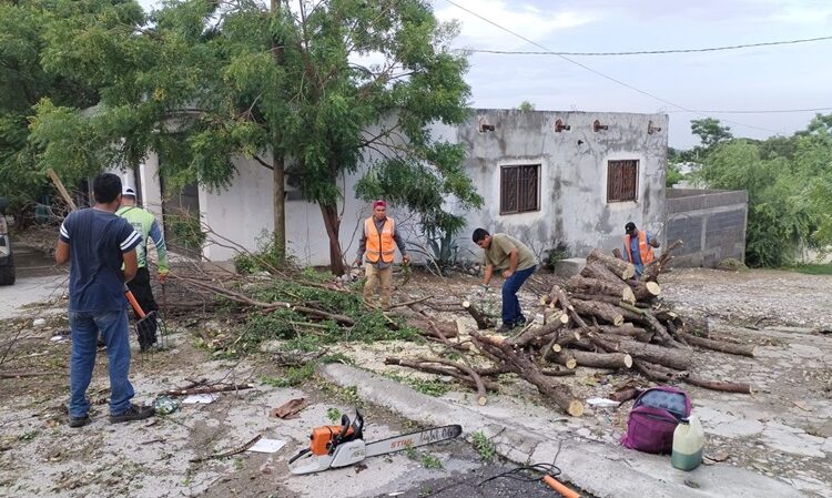 Gobierno de Victoria libera vialidades y mitiga riesgos a la población