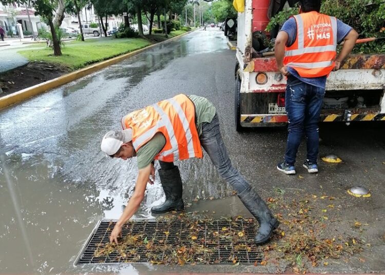 Gobierno de Victoria libera vialidades y mitiga riesgos a la población