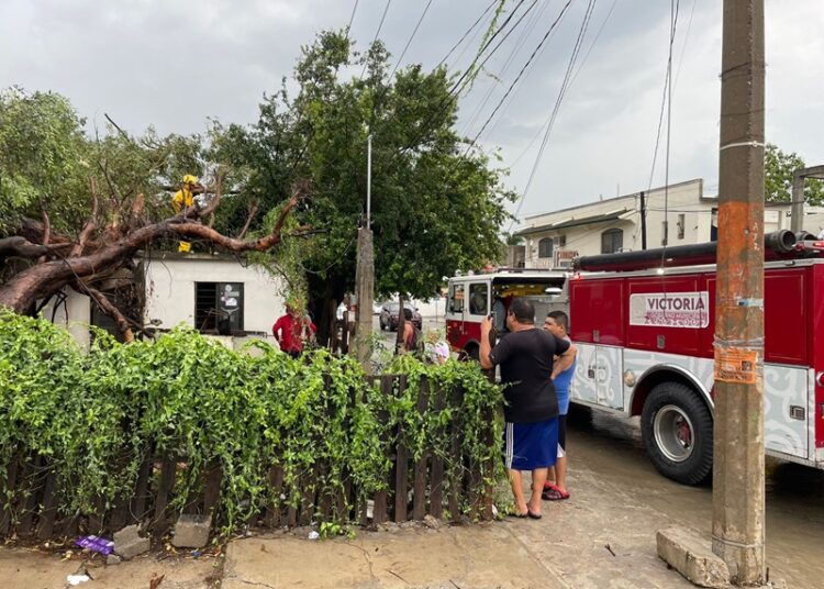 Gobierno de Victoria libera vialidades y mitiga riesgos a la población