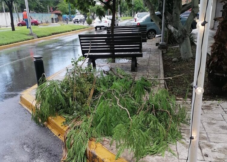 Gobierno de Victoria libera vialidades y mitiga riesgos a la población