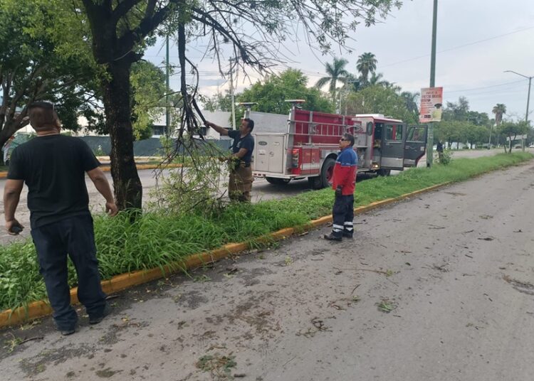 Gobierno de Victoria libera vialidades y mitiga riesgos a la población