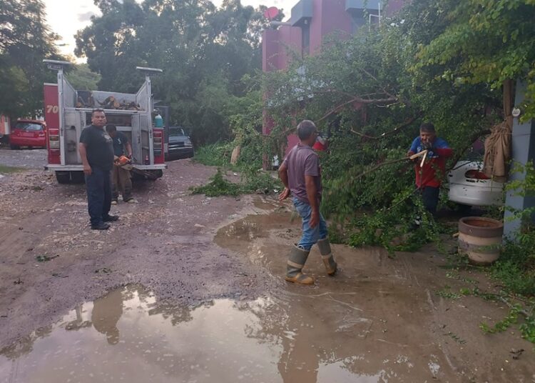 Gobierno de Victoria libera vialidades y mitiga riesgos a la población