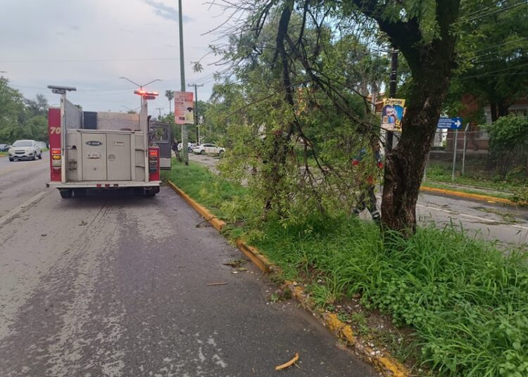 Gobierno de Victoria libera vialidades y mitiga riesgos a la población