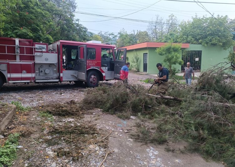 Gobierno de Victoria libera vialidades y mitiga riesgos a la población