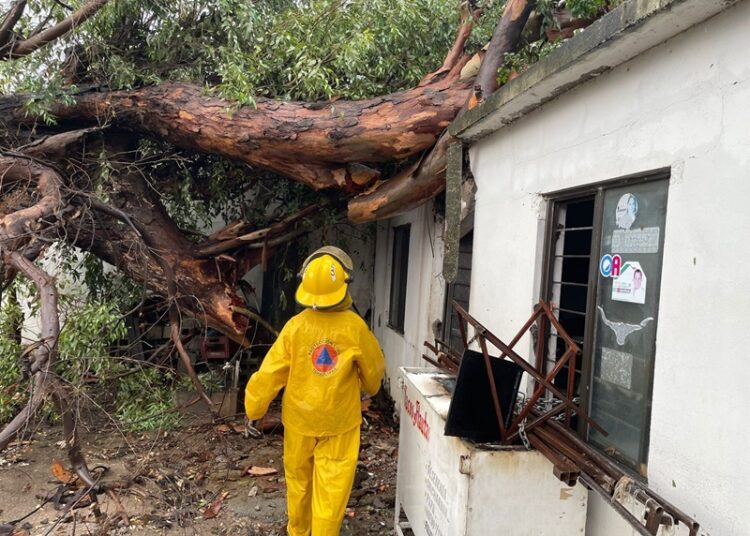 Gobierno de Victoria libera vialidades y mitiga riesgos a la población