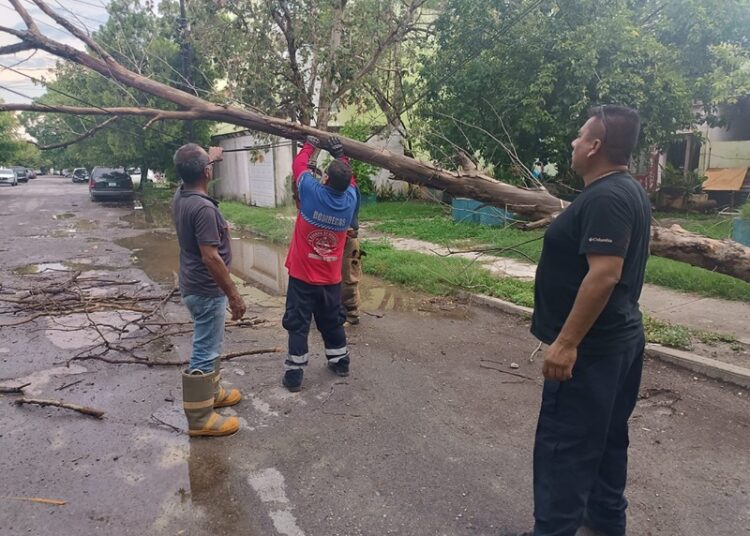 Gobierno de Victoria libera vialidades y mitiga riesgos a la población
