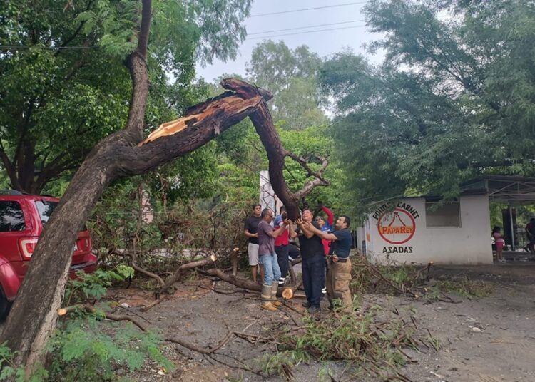 Gobierno de Victoria libera vialidades y mitiga riesgos a la población
