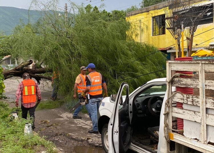 Gobierno de Victoria libera vialidades y mitiga riesgos a la población