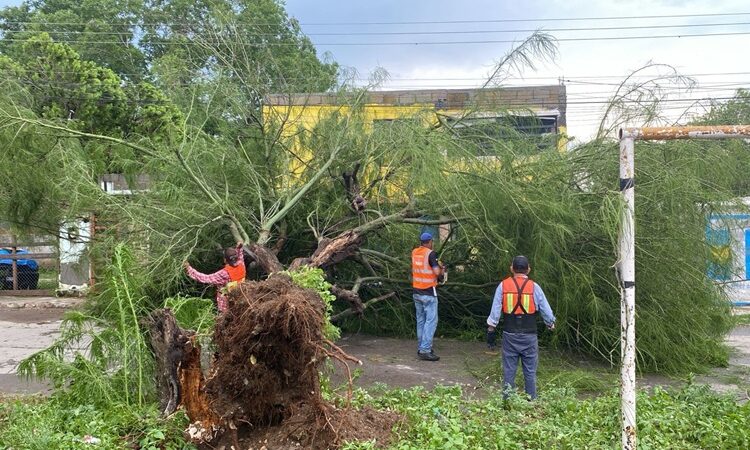 Gobierno de Victoria libera vialidades y mitiga riesgos a la población