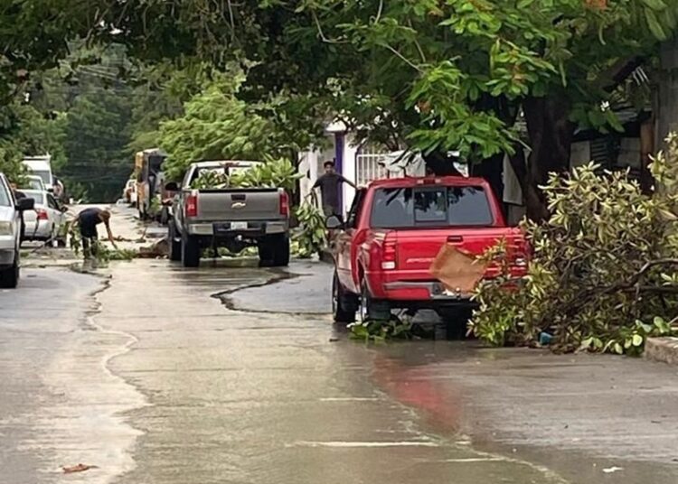 Gobierno de Victoria libera vialidades y mitiga riesgos a la población