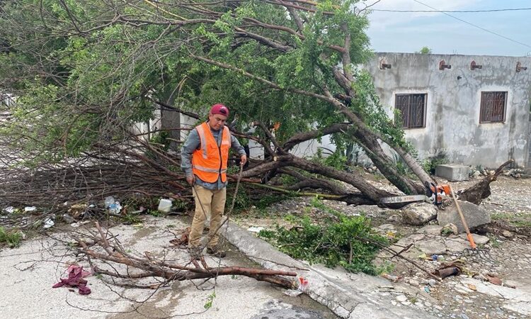 Gobierno de Victoria libera vialidades y mitiga riesgos a la población
